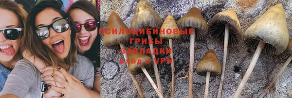 a pvp Вяземский
