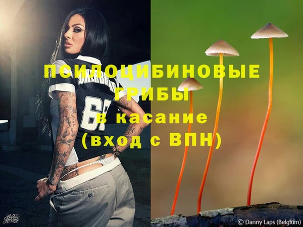a pvp Вяземский