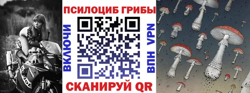 Купить закладки Красноармейск Галлюциногенные грибы Psilocybine cubensis